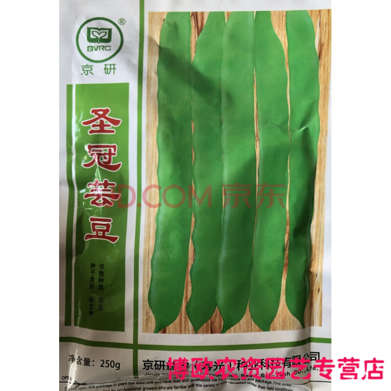 圣冠芸豆种子超宽绿油豆扁豆四季豆种籽架豆菜豆豆角种孑春季四季 250