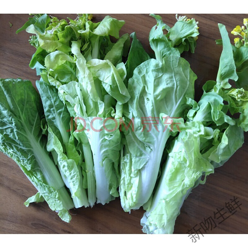 贵州本地蔬菜兴义嫩白菜苔新鲜现摘农家绿菜苔白菜薹白菜心礼包