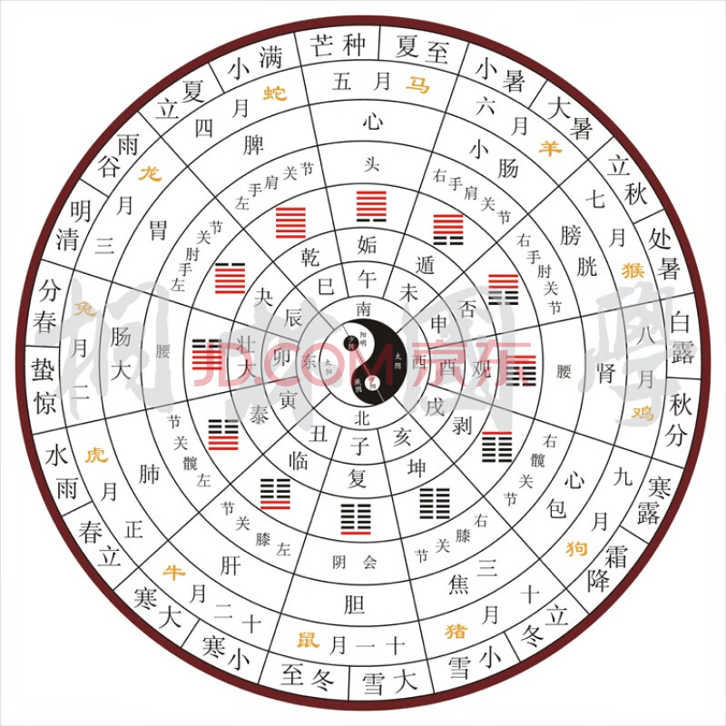 十二辟卦卦象图中医养生太极八卦图二十四节气脏腑经络装饰画286 白色
