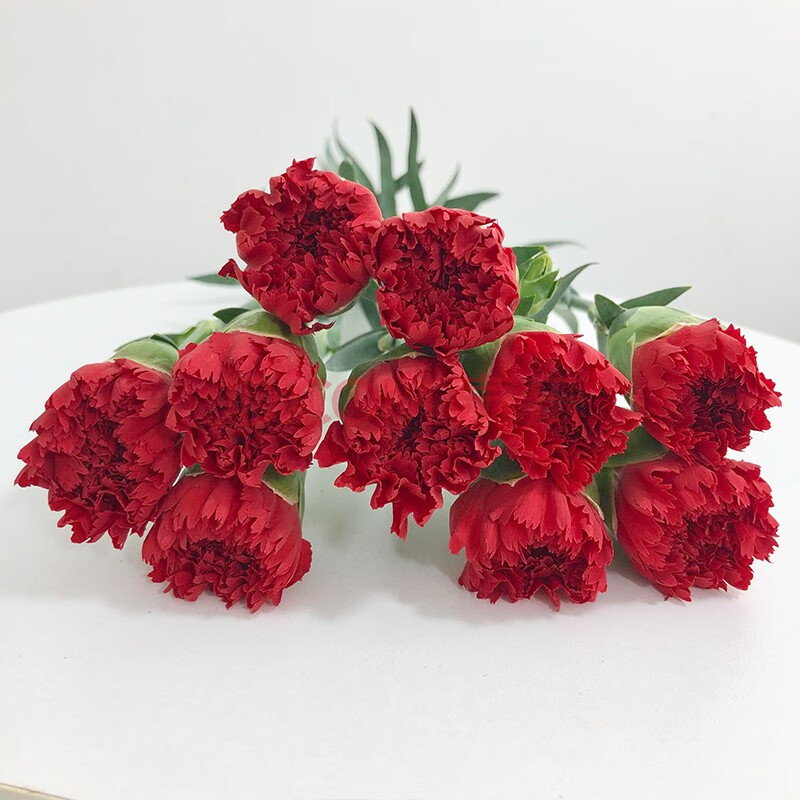 花醉美 单头康乃馨-洪福20枝/扎 a级