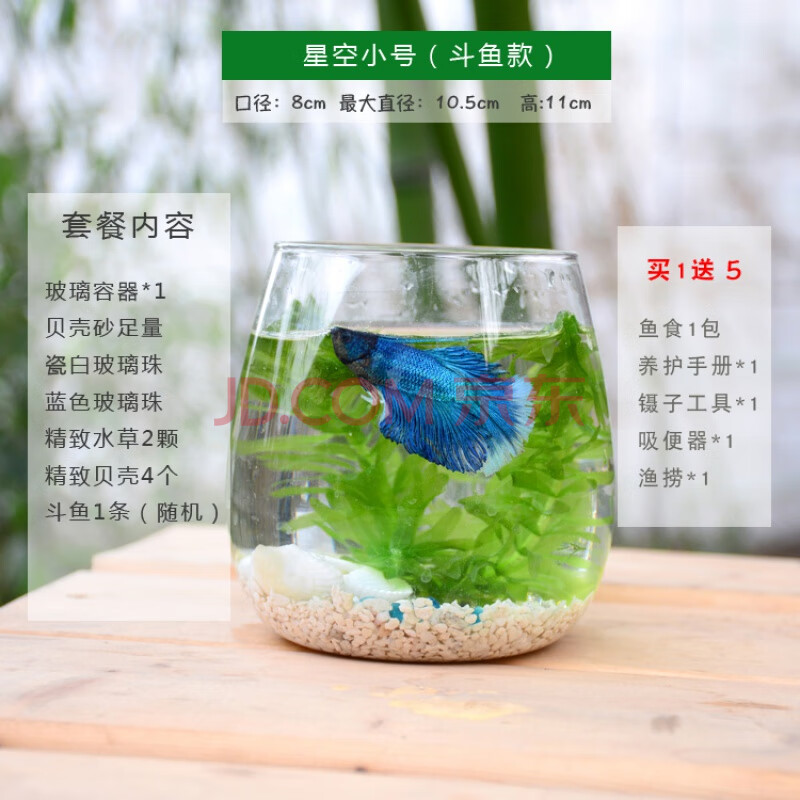 桌面迷你小型微景观懒人生态瓶缸观赏小鱼活体免换水生态瓶斗鱼缸