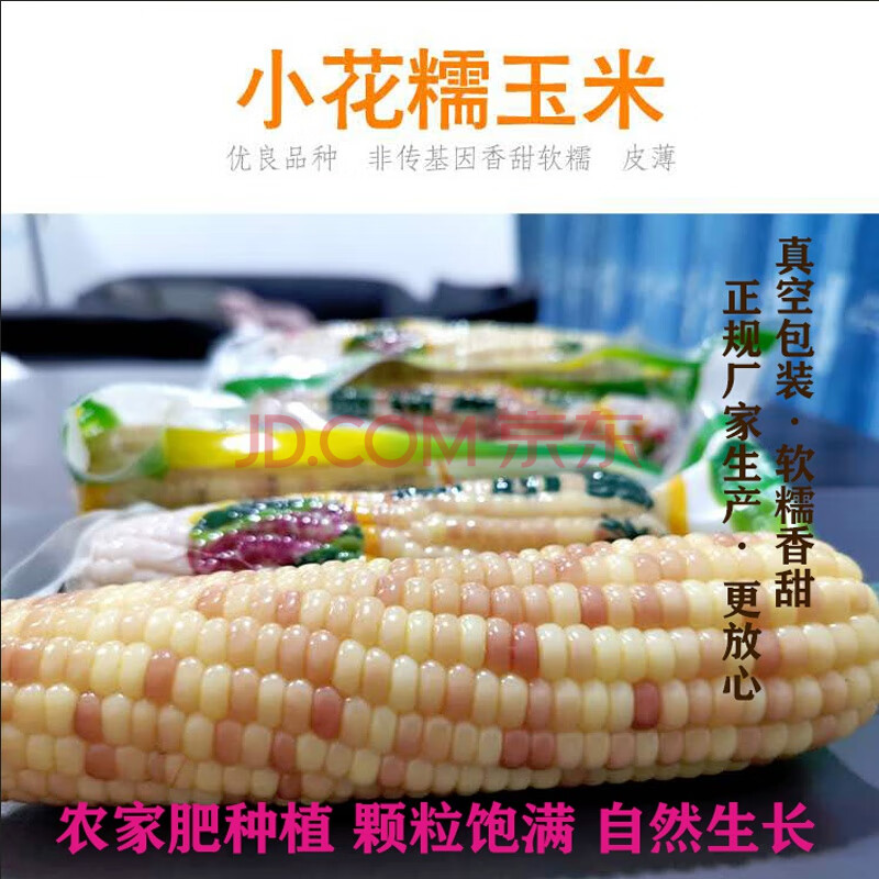 云南西双版纳香糯小玉米1.5kg真空即食鲜小花糯