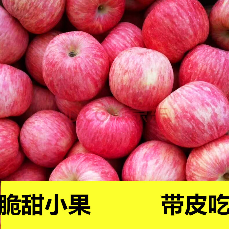山西壶口吉县红富士小苹果水果新鲜当季带箱10斤现摘脆甜 70mm(含)