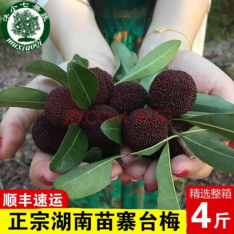 【助农水果】台梅东魁水果杨梅整箱4斤 正宗湖南靖州杨梅乌梅台梅东魁