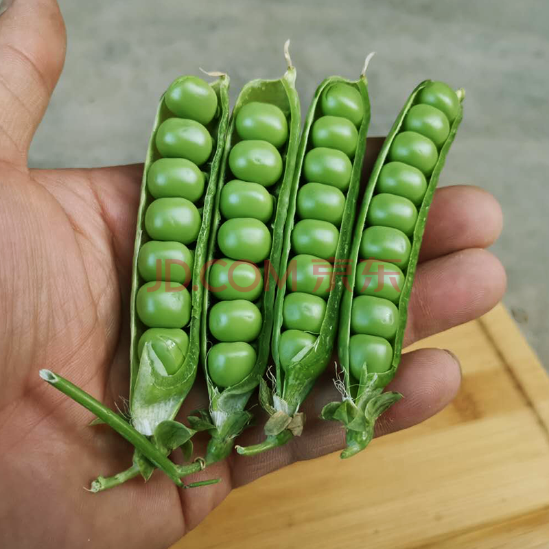 新鲜甜豌豆3斤 农家种植豌豆粒青豆子豌豆荚