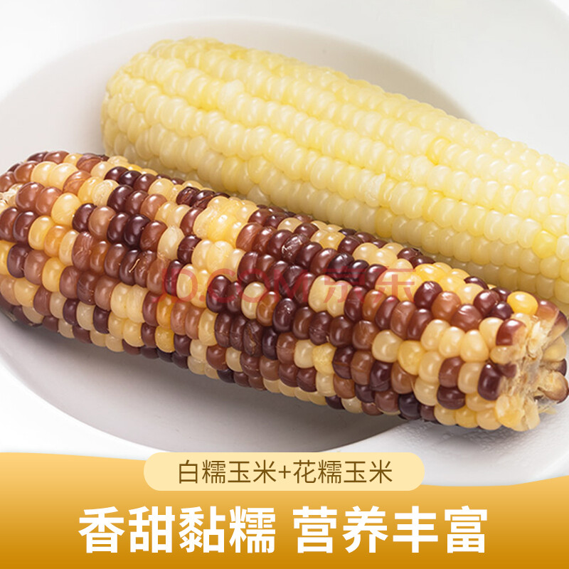 山田园 白玉米 花玉米组合 非转基甜糯玉米生鲜新鲜甜黏玉米粒 组合