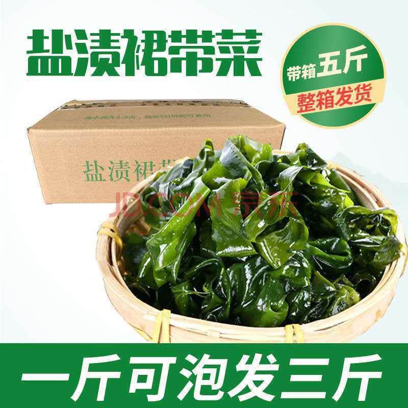 盐渍裙带菜边海芥菜长寿菜海带边海洋蔬菜海白菜整箱5