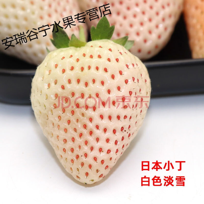 现货白雪公主淡雪白草莓尚雪新鲜白色恋人牛奶油礼盒装水果 淡雪小果3