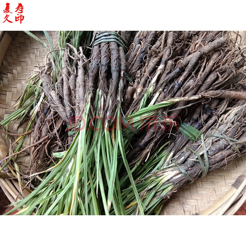 康中尊 中草药原材料材仙茅 野生原药独脚仙茅独茅根地棕独茅根苗纯根