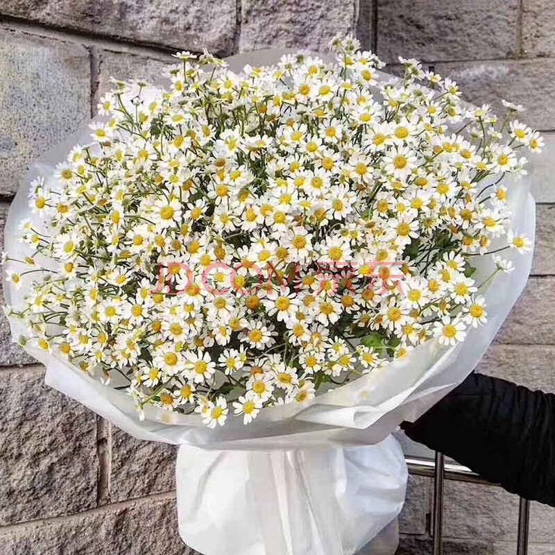清明节鲜花 同城配送黄白菊花束扫墓祭祀祭奠祭拜葬礼