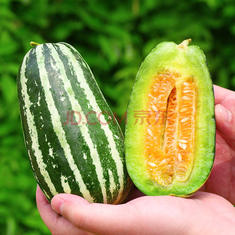 山东博洋9号甜瓜 当季新鲜水果小香瓜脆瓜羊角蜜瓜九号整箱 5斤