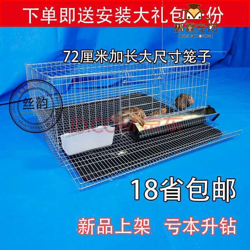 自动滚蛋笼清理卫生方便鹌鹑养殖笼长宽高705029cm笼子加1个水杯食棤