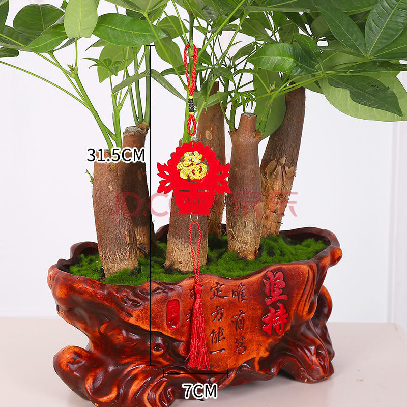 小红灯笼树上挂饰新年盆景福字挂件过年室内春节盆景植物装扮布置