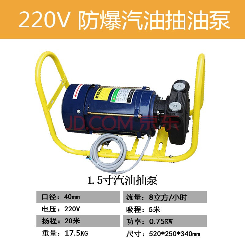 5寸 220v汽油泵
