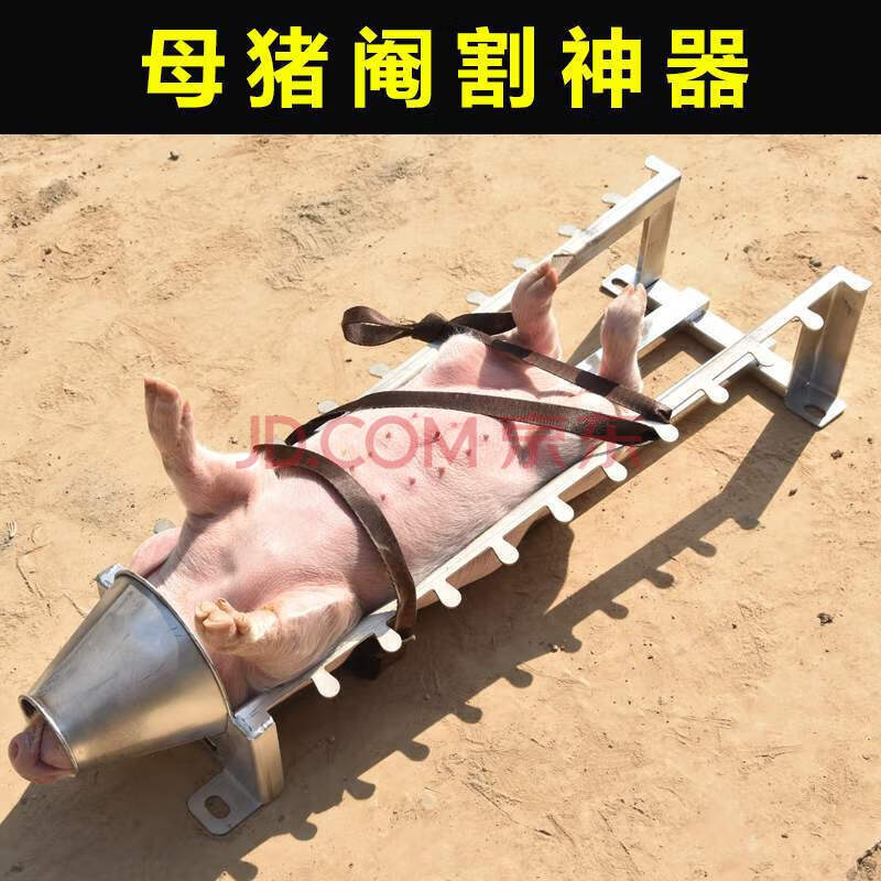 冲钻 阉猪架 加厚加强器小猪架子阉猪台仔猪阉割架养猪场设备 坐地式