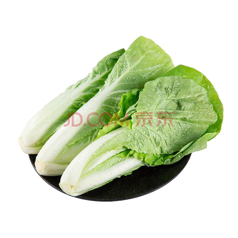 【嫩芽尖尖】杭白苗 （长度≤18cm）300g