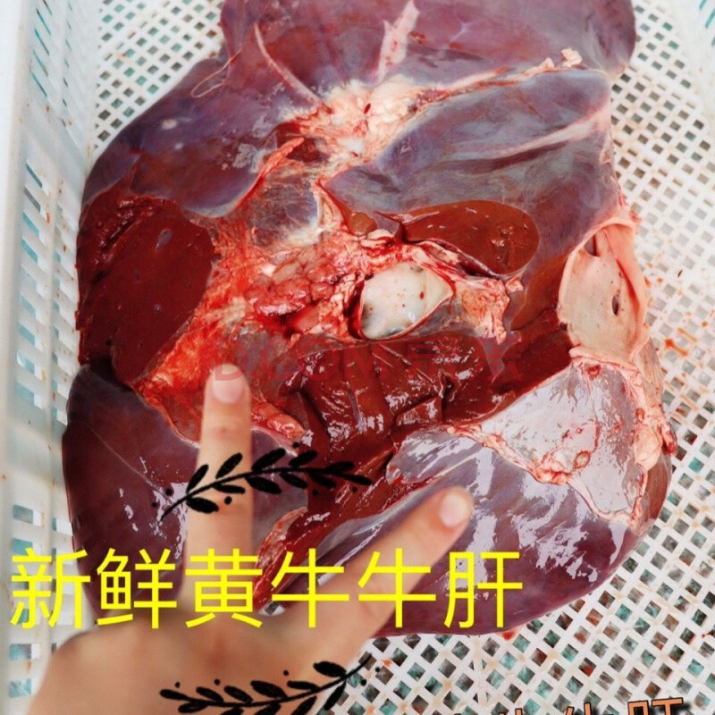 顺丰速运 山西特产生牛肝新鲜黄牛肝原味牛杂牛肝散称