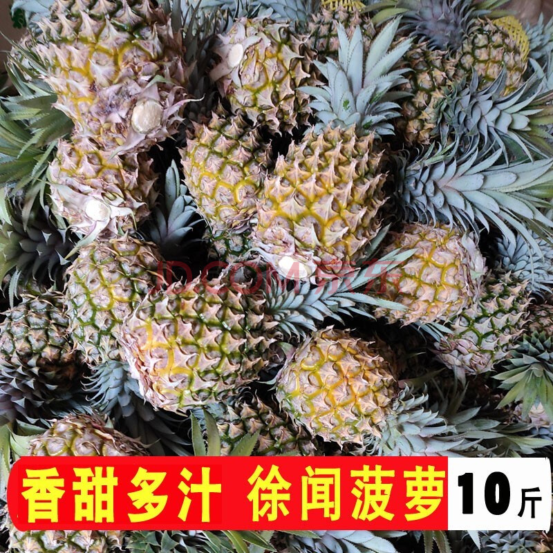 思卓云南香水小菠萝【刀】9/5斤菠萝新鲜水果现摘青皮发货非泰国 现摘