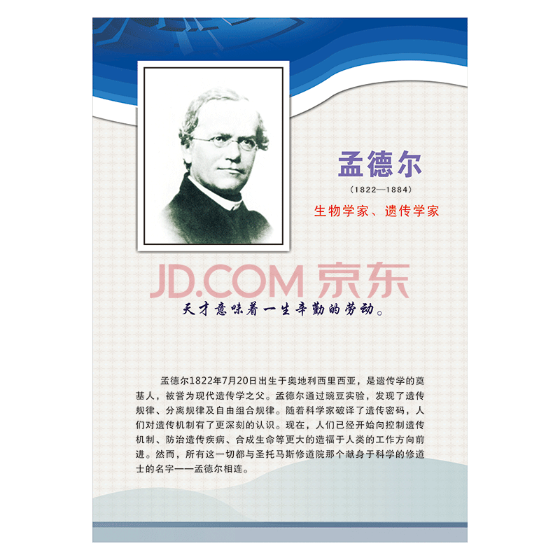 著名生物学家头像肖像简介达尔文覆膜防水贴纸sch67 sch67-08 孟德尔