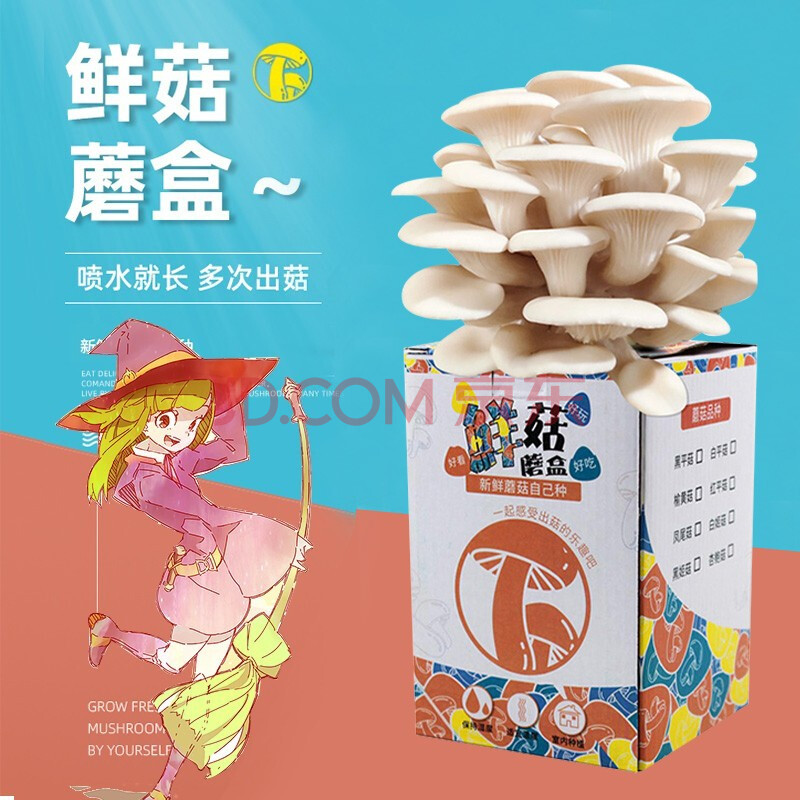 菌菇盲盒蘑菇盒子可食用diy蘑菇种子秀珍菇室内种植儿童礼品/白平黑平