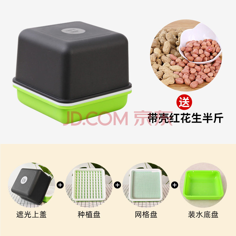 芽种植盘花生米发芽神器虎雀aa新款水培花生种植盒1套半斤带壳红花生