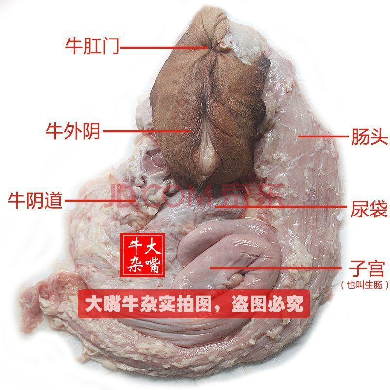 伟博牛欢喜新鲜男用母牛外阴牛子宫二姐碗口大嘴牛杂