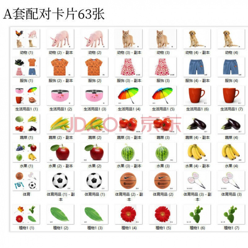 相同配对卡片 自闭症孤独症发育迟缓语言aba教材资料学习训练卡片 a套