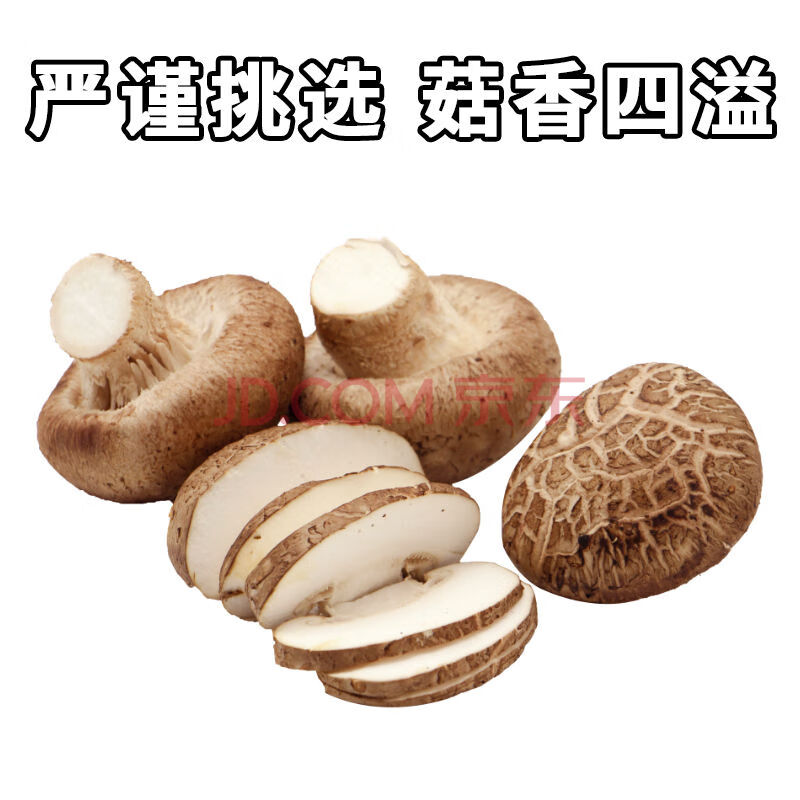 【当日采摘】新鲜香菇原厂野生蘑菇冬菇花菇辅食土特产火锅烧烤 3袋