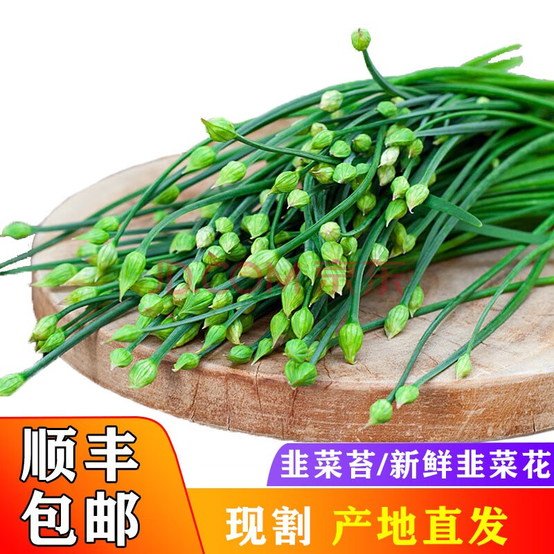 【顺丰】特心鲜 韭菜苔 新鲜韭菜花农家自种蔬菜现摘产地直发 1500g