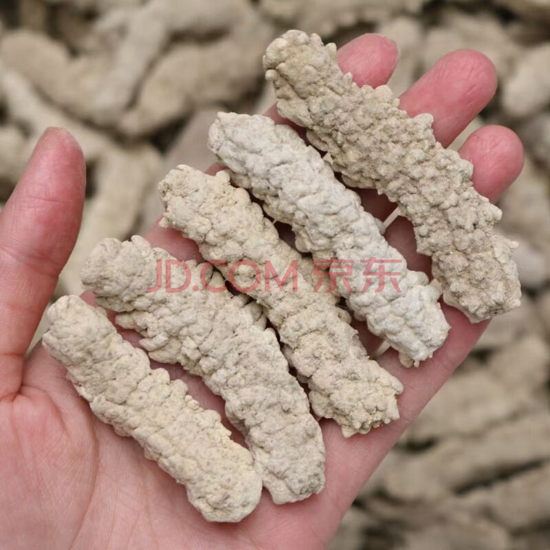 伟博黄玉参海参干货印尼黄肉参仔小黄玉参酒店食材用料非即吃辽参100g