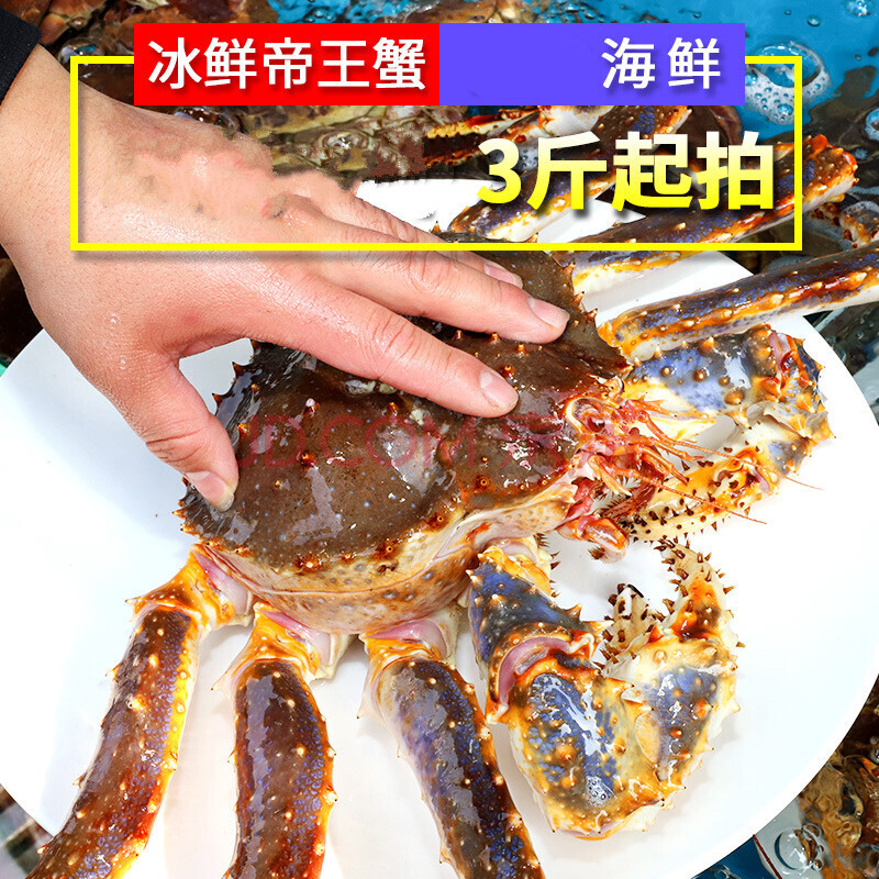 帝王蟹冰鲜阿拉斯加蟹海鲜鲜活1斤霸王蟹超大1斤皇帝蟹鲜活青岛闪送