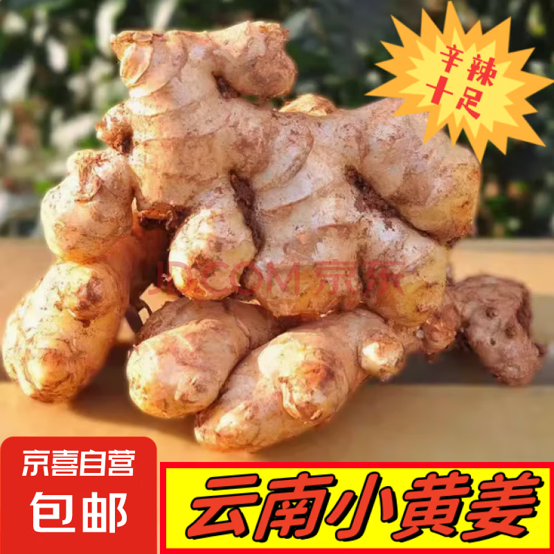 正宗云南小黄姜新鲜现挖生姜农家老姜月子老黄姜特级新姜整箱批发 3斤装 1500g