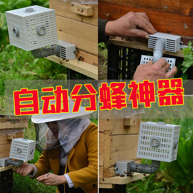 中蜂自动分蜂器收王分蜂器除雄蜂器防逃框多功能巢门防止蜂王逃跑