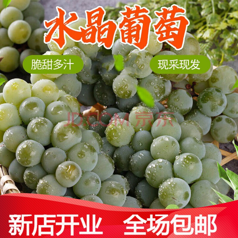 现摘贵州水晶葡萄云南茉莉香新鲜当季水果 云南水晶葡萄5斤净重香甜多