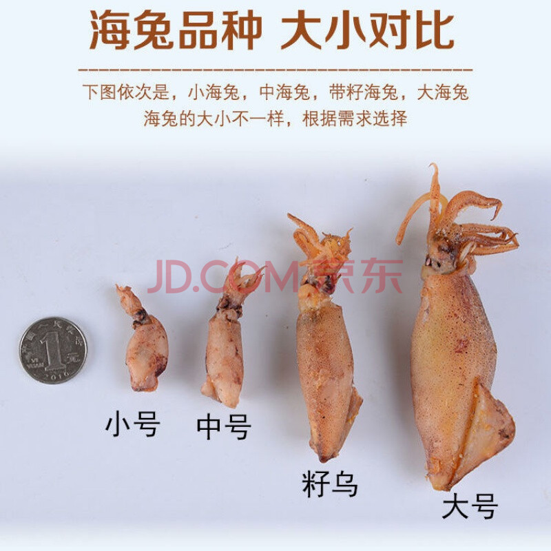鲜美惊海兔子500g小海兔干籽乌带籽咸鱼干货批发海鱼墨鱼干乌贼海鲜