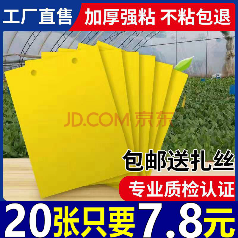 黄板双面粘虫板诱虫纸贴黄色飞虫小黑飞沾果蝇诱捕器粘板针蜂大棚 10多年专注品质 双面粘虫板20张装 20张黄色（双面粘虫板）【小号20*10】