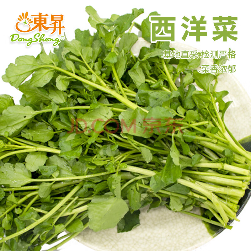 东升新鲜西洋菜豆瓣菜300g 打边炉 煲汤白灼 嫩脆   广州新鲜配送