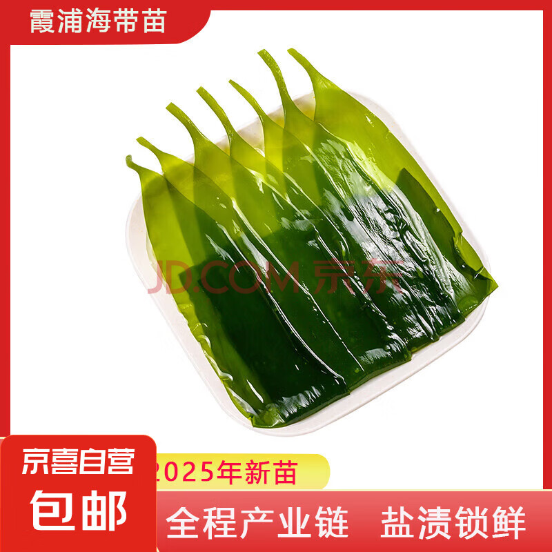 海带嫩苗凉拌菜火锅食材霞浦海带嫩苗海带苗新鲜干货特产 200g*1袋