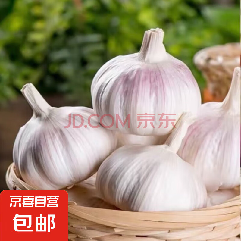 山东大蒜干蒜新鲜白皮精品蒜直径3—4cm 大蒜100g4头左右 100g