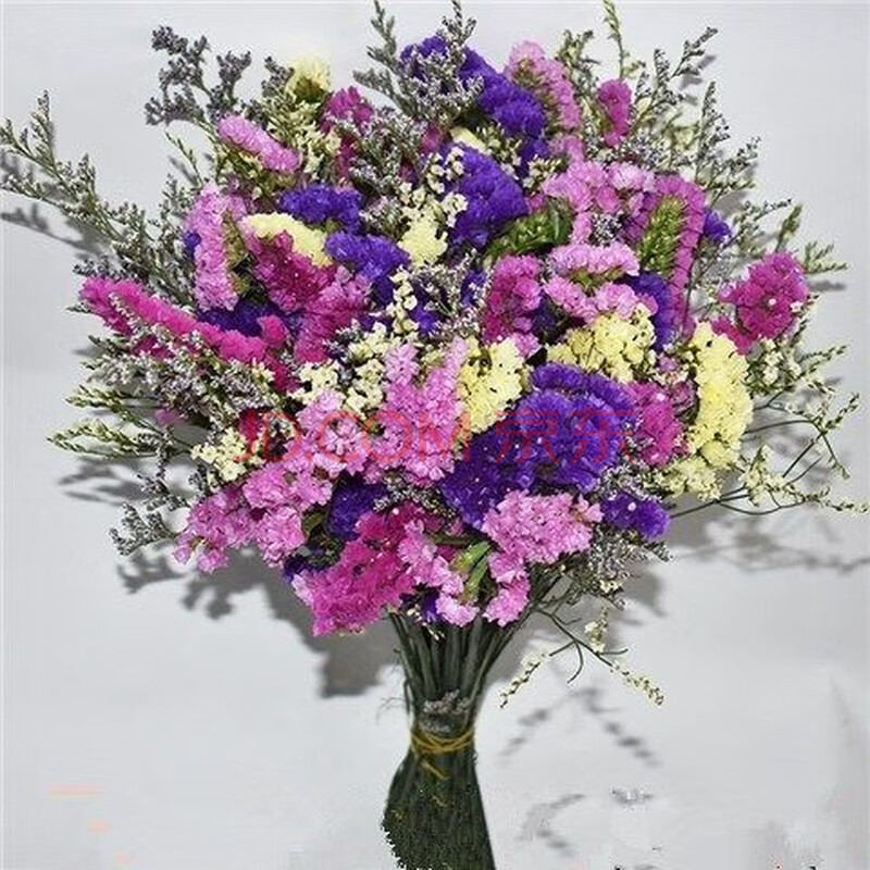 云南真花勿忘我干花花束情人草水晶花满天星客厅插花家居装饰摆件摆设