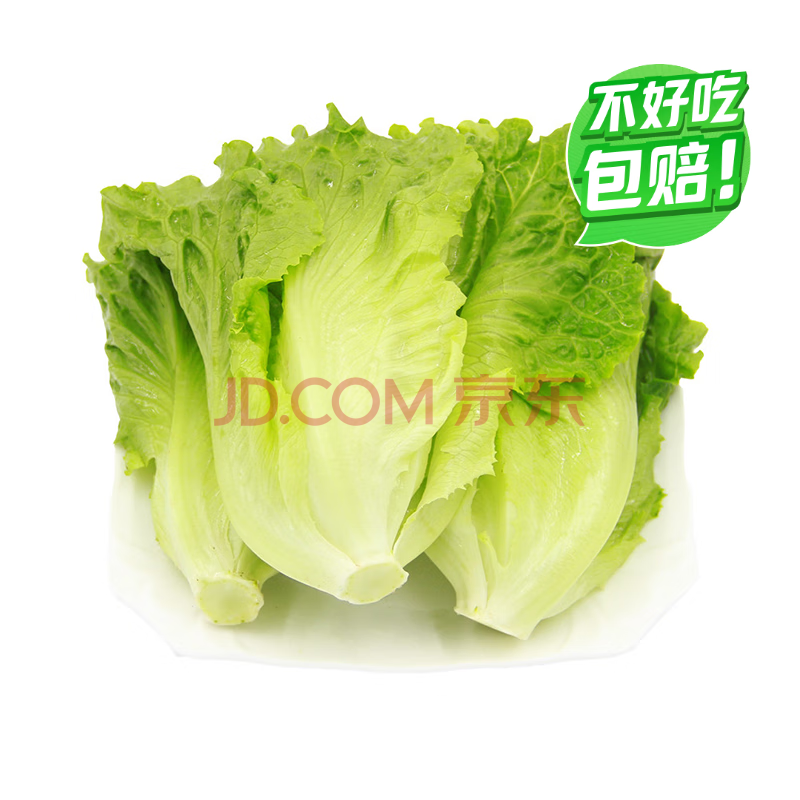 【高山鲜】钟灵山罗马生菜400g
