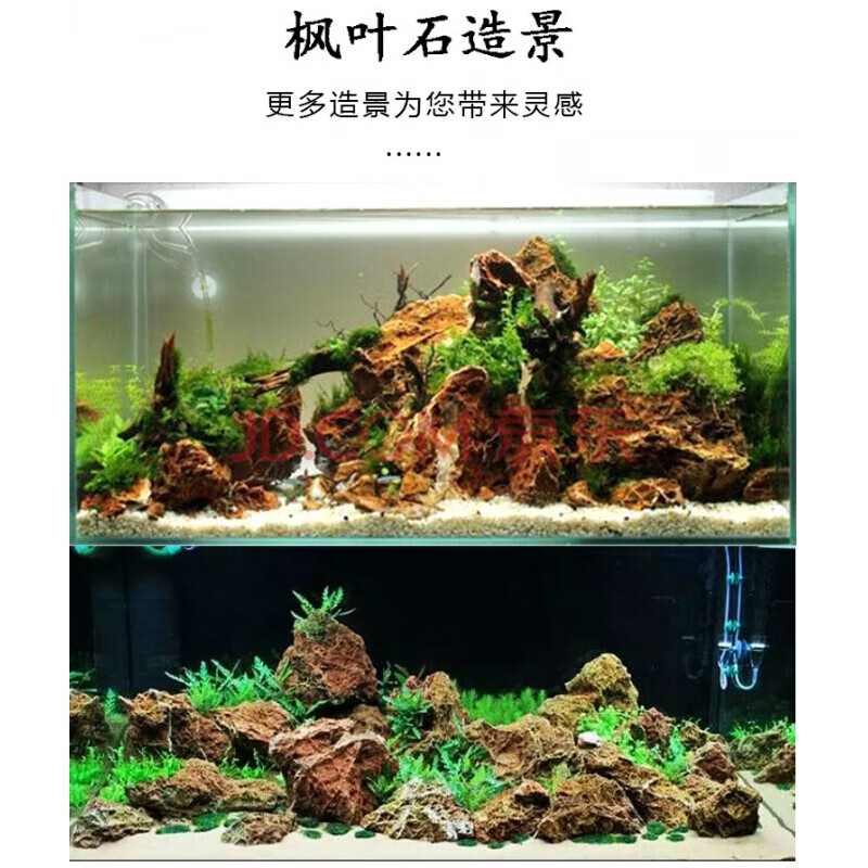 原石 青龙石 鱼缸造景石头水族装饰水草造景草缸造景素材 枫叶石/5斤