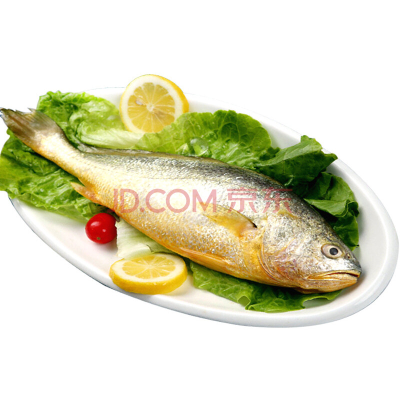 簡單滋味 冷凍 東海大黃魚 400g 袋裝 400g 1條