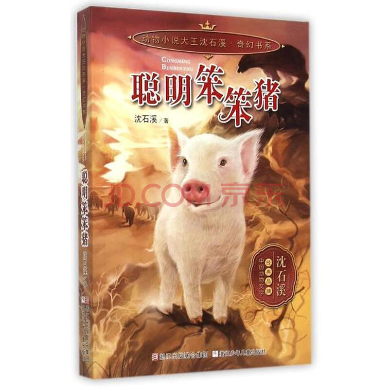 聪明笨笨猪 沈石溪 少儿 书籍