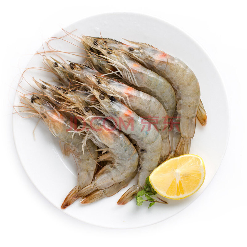 Á¿µÀ »î¶³¶ò¹Ï¶à¶û°×Ϻ2kg 70-90Ö» ÄÏÃÀ½ø¿Úº£Ïº´óϺ »ð¹øÉÕ¿¾Ê³²Ä º£ÏÊË®²ú