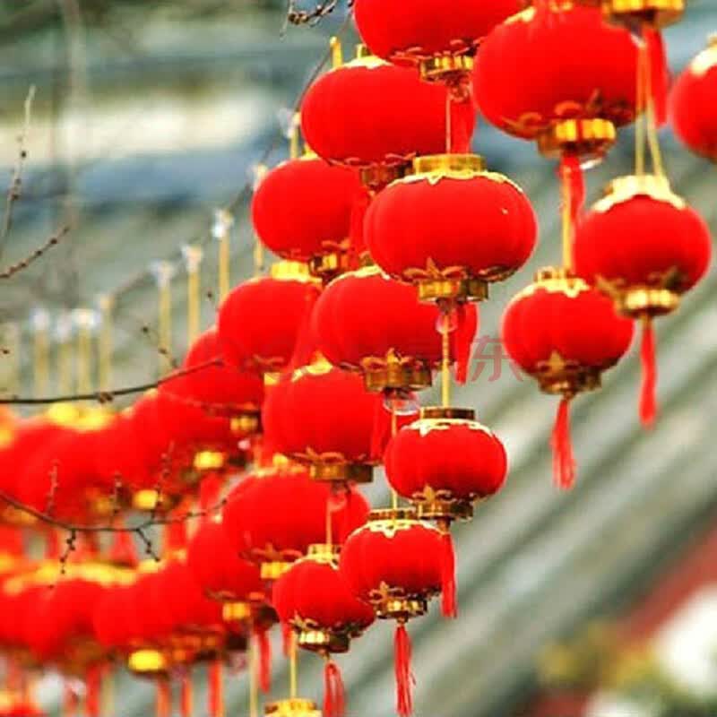 俊艺植绒小灯笼结婚喜庆传统节日婚房布置红灯笼小灯笼串灯笼喜庆灯笼