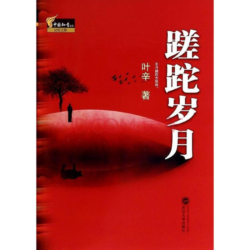 蹉跎岁月/叶辛著