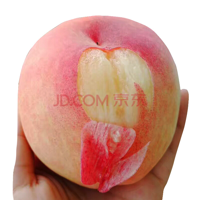 Õý×ÚÎÞÎýÑôɽˮÃÛÌÒʱÁîÐÂÏÊË®¹ûÌÒ×Ó ÎÞÎýÌØ²ú ÐÂÏÊË®¹ûÌÒ×Ó»ÆÌÒÓÍÌÒëÌÒ½õÐå 4Ö»¼ò×° µ¥¹û4--5Á½