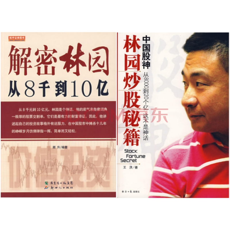 中国股神林园炒股秘籍(附光盘)+ 解密林园:从8千到10亿 套装2册