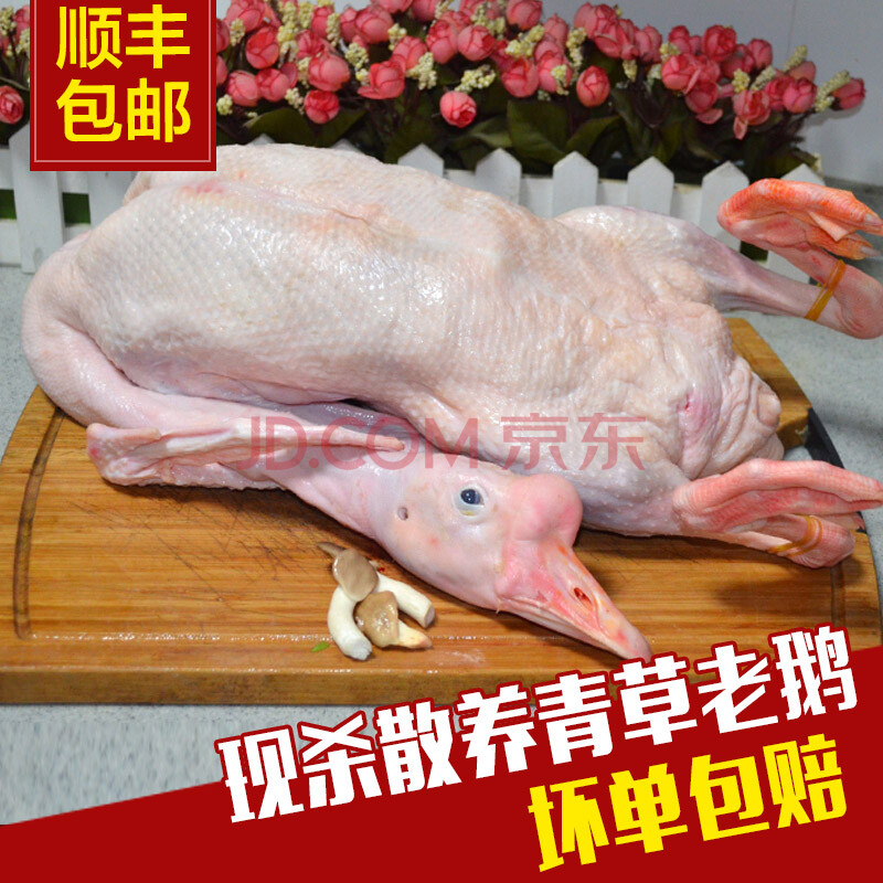 ÎÝ϶ì ÏÖɱÀ϶ì 3kg/Ö» ´ó°×¶ì¶ìÈâÍÁ¶ìÌØ²úÀ϶ìÉ¢Ñø´ó¶ì